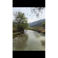 旅游风景354
