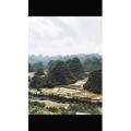 旅游风景359