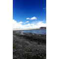风景43