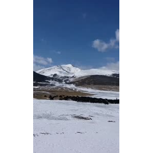 风景51