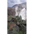 风景63