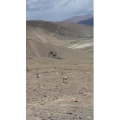 风景76