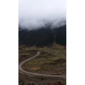 风景91