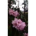风景92