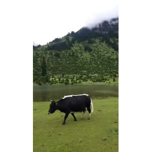 风景97