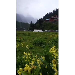 风景103