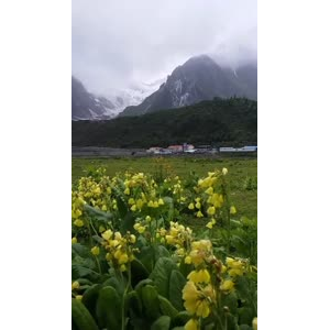 风景107