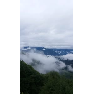 风景114