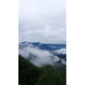 风景114
