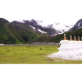 风景115