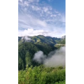 风景122