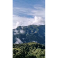 风景126