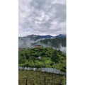 风景132