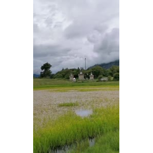 风景133