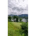 风景134