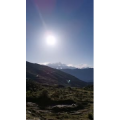 风景142