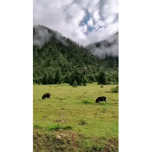 风景143