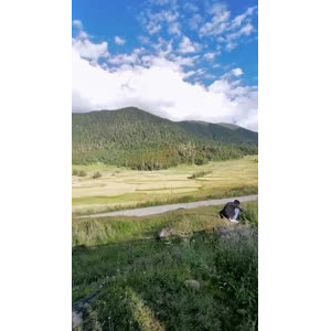 风景147