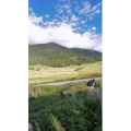 风景147