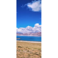风景165