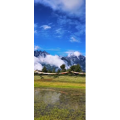 风景166