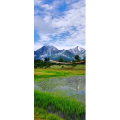 风景170