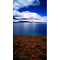风景175