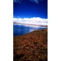 风景177
