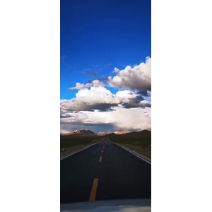 风景184