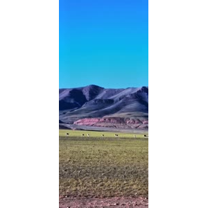 风景191