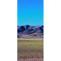 风景191