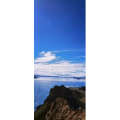 风景202