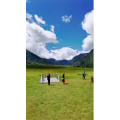 风景214