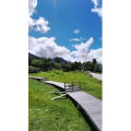 风景217