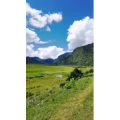 风景218