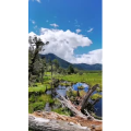 风景219