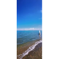 风景231