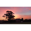 风景241