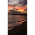 风景247