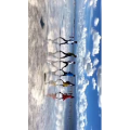 风景273