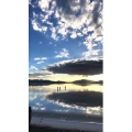 风景274
