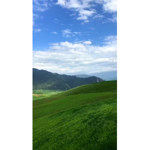 风景275