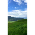 风景275