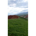 风景276