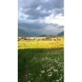 风景285