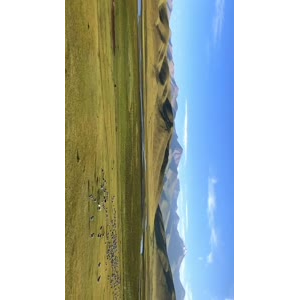 风景286