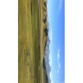 风景286