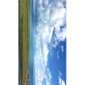 风景289
