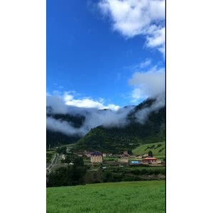 风景295