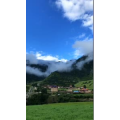 风景295